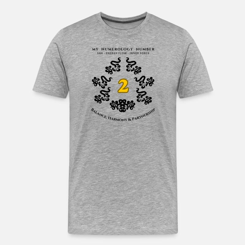 Numer_2 - Men's Premium Organic T-Shirt - heather grey