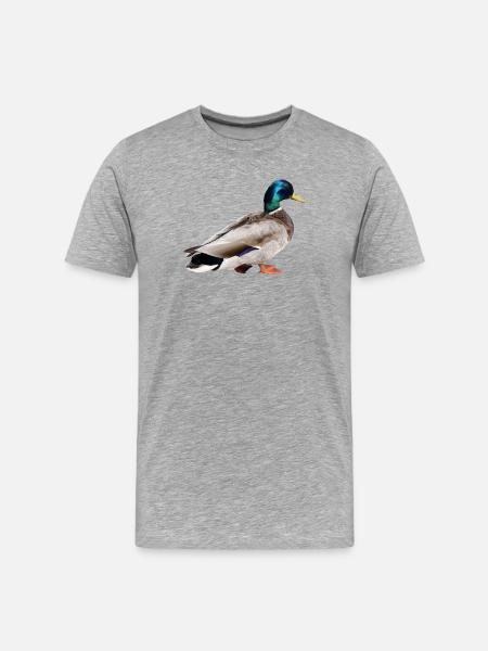 Stockente Männchen - Männer Premium Bio T-Shirt - Grau meliert