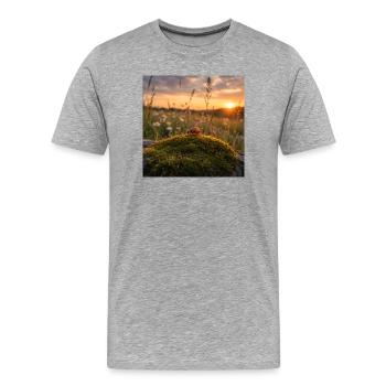 Ladybug in sunset and moss - Men's Premium Organic T-Shirt - heather grey - Front - Damien (186cm)