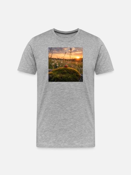 Ladybug in sunset and moss - Men's Premium Organic T-Shirt - heather grey