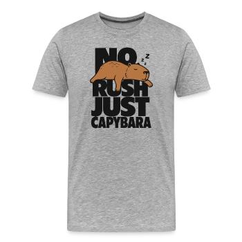 No Rush Just Capybara - Men's Premium Organic T-Shirt - heather grey - Front - Damien (186cm)