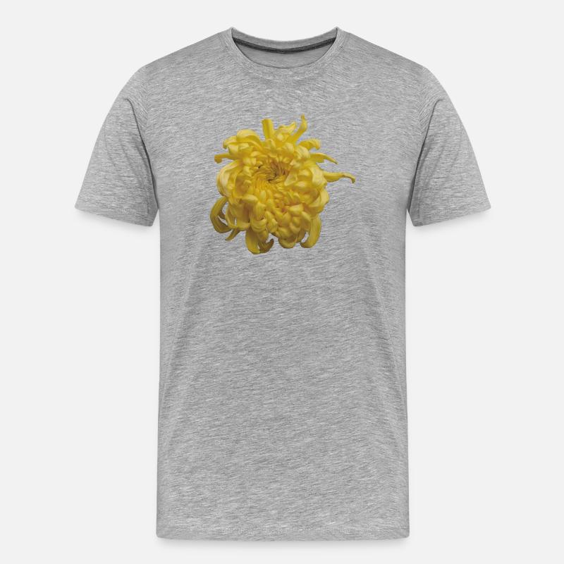Vibrant_Yellow_Chrysanthemum_Flower - Männer Premium Bio T-Shirt - Grau meliert