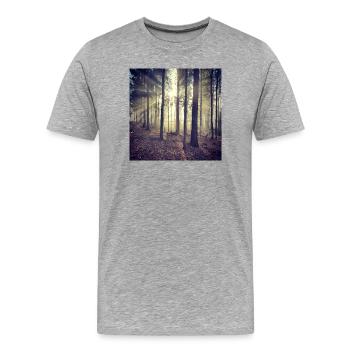 Sonnenstrahlen Waldlicht - Männer Premium Bio T-Shirt - Grau meliert - Vorne - Damien (186cm)
