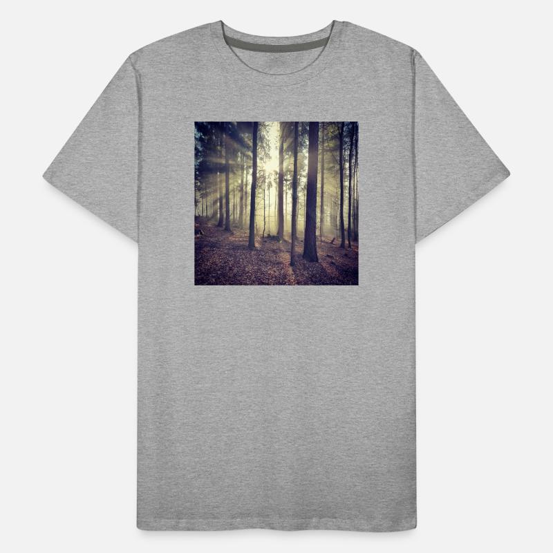 Sonnenstrahlen Waldlicht Männer Premium Bio T-Shirt