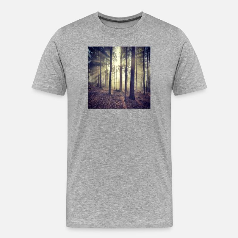 Sunbeams Forest Light - Men's Premium Organic T-Shirt - heather grey
