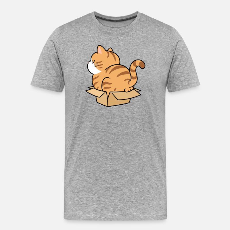 Chaton dans une boîte - T-shirt bio Premium Homme - gris chiné
