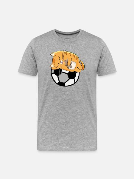 Kuschelkätzchen auf Fußball - Männer Premium Bio T-Shirt - Grau meliert