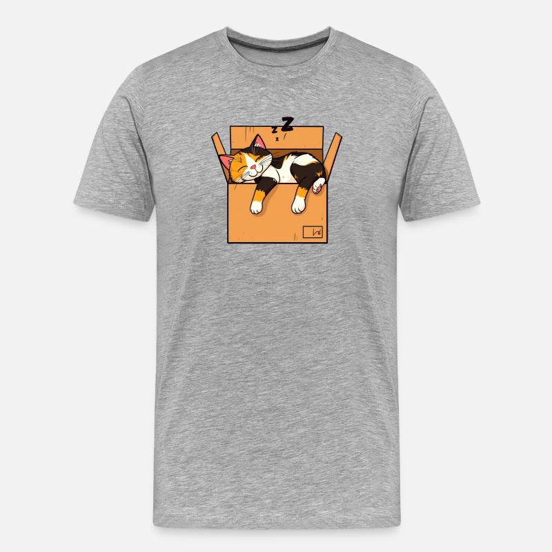 Katze schläft im Karton - Männer Premium Bio T-Shirt - Grau meliert