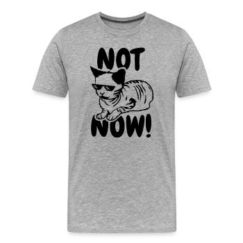 not now - Men's Premium Organic T-Shirt - heather grey - Front - Damien (186cm)