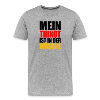 Mein Trikot ist in der Wäsche - Männer Premium Bio T-Shirt - Grau meliert - Vorne - Damien (186cm)