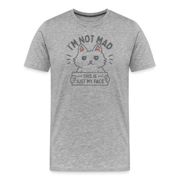 Das ist nur mein Gesicht - Männer Premium Bio T-Shirt - Grau meliert - Vorne - Damien (186cm)