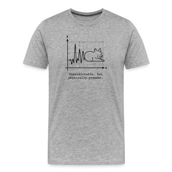 Unpredictable but Physically Present - Männer Premium Bio T-Shirt - Grau meliert - Vorne - Damien (186cm)