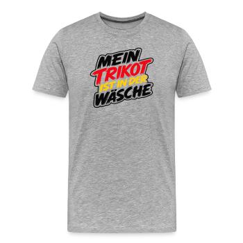 Mein Trikot ist in der Wäsche - Männer Premium Bio T-Shirt - Grau meliert - Vorne - Damien (186cm)