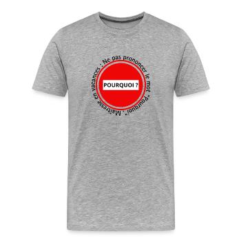 Maîtresse en vacances : Interdit de dire Pourquoi  - T-shirt bio Premium Homme - gris chiné - Devant - Damien (186cm)