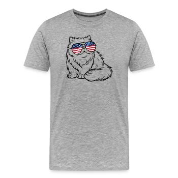 Lunettes de soleil avec drapeau américain, chat, Américain, - T-shirt bio Premium Homme - gris chiné - Devant - Damien (186cm)