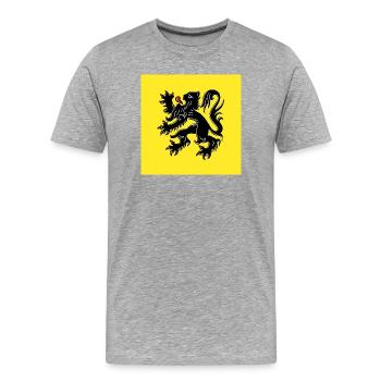 Zeig deine Farben – Flandern - Männer Premium Bio T-Shirt - Grau meliert - Vorne - Damien (186cm)