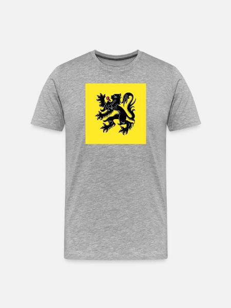 Zeig deine Farben – Flandern - Männer Premium Bio T-Shirt - Grau meliert
