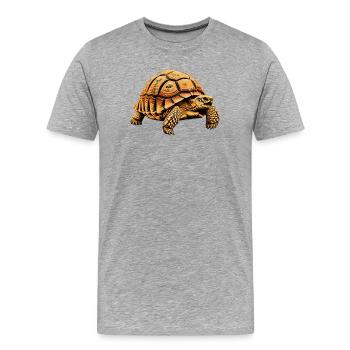 große Landschildkröte, detailreiches motiv - Männer Premium Bio T-Shirt - Grau meliert - Vorne - Damien (186cm)
