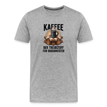 Schachspieler Geschenk | Lustig & Edel - Männer Premium Bio T-Shirt - Grau meliert - Vorne - Damien (186cm)