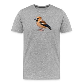 Hawfinch bird - Men's Premium Organic T-Shirt - heather grey - Front - Damien (186cm)