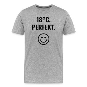 18°C. Perfekt. - Männer Premium Bio T-Shirt - Grau meliert - Vorne - Damien (186cm)