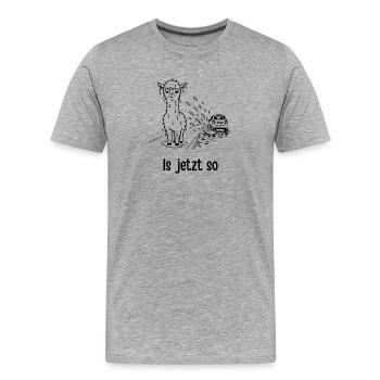 Alpaka – Is jetzt so - Männer Premium Bio T-Shirt - Grau meliert - Vorne - Damien (186cm)