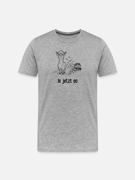 Alpaka – Is jetzt so - Männer Premium Bio T-Shirt - Grau meliert