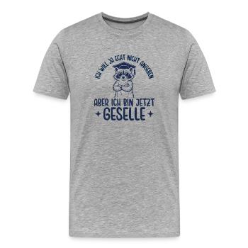 Geselle Will ja nicht angeben Ausbildung bestanden - Männer Premium Bio T-Shirt - Grau meliert - Vorne - Damien (186cm)