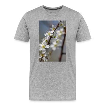 Des cerisiers blancs délicats au printemps - T-shirt bio Premium Homme - gris chiné - Devant - Damien (186cm)