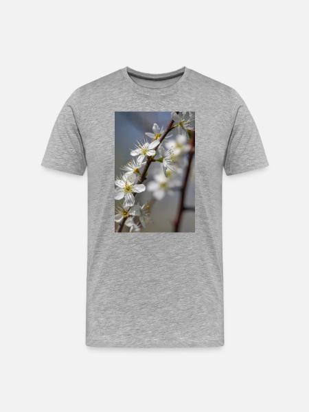 Delicate white cherry blossoms in spring - Men's Premium Organic T-Shirt - heather grey