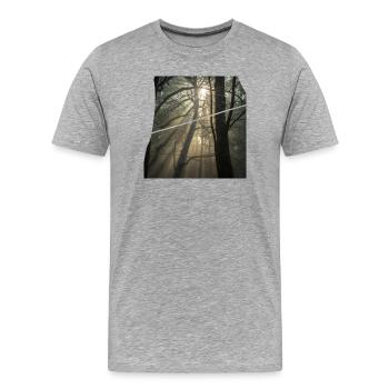 Forest sunbeams in the morning light - Men's Premium Organic T-Shirt - heather grey - Front - Damien (186cm)