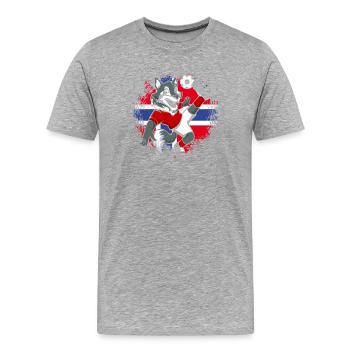 Norway Soccer Norge Fjords Scandinavian - Men's Premium Organic T-Shirt - heather grey - Front - Damien (186cm)