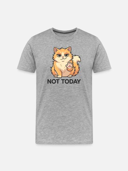 Not Today – Funny Cat - Men's Premium Organic T-Shirt - heather grey