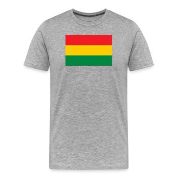 Drapeau du Reggae - Rastafari Rasta Roots - T-shirt bio Premium Homme - gris chiné - Devant - Damien (186cm)