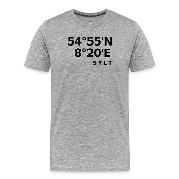 Sylt - Men's Premium Organic T-Shirt - heather grey - Front - Damien (186cm)