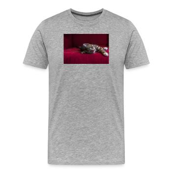 Süße getigerte Babykatze, liegend, Fotografie - Männer Premium Bio T-Shirt - Grau meliert - Vorne - Damien (186cm)