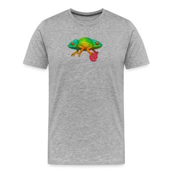 Sucette Caméléon Arc-en-ciel - T-shirt bio Premium Homme - gris chiné - Devant - Damien (186cm)