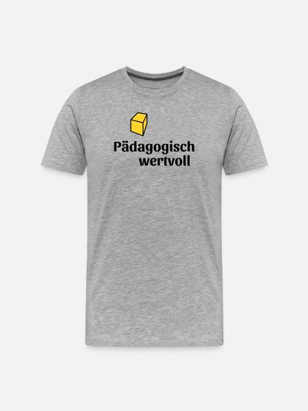 Pädagogisch wertvoll - Männer Premium Bio T-Shirt - Grau meliert