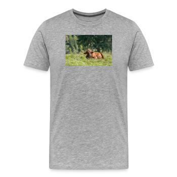 Idylle alpine : Vache sur le pâturage alpin bavarois - T-shirt bio Premium Homme - gris chiné - Devant - Damien (186cm)