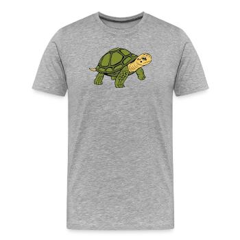Tortue Tortues - T-shirt bio Premium Homme - gris chiné - Devant - Damien (186cm)