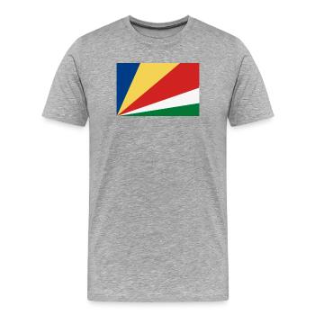 Color Geometry Stripes - Men's Premium Organic T-Shirt - heather grey - Front - Damien (186cm)