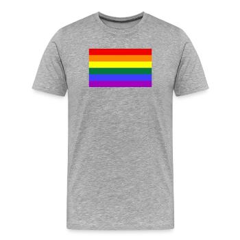 Gay Pride - Männer Premium Bio T-Shirt - Grau meliert - Vorne - Damien (186cm)