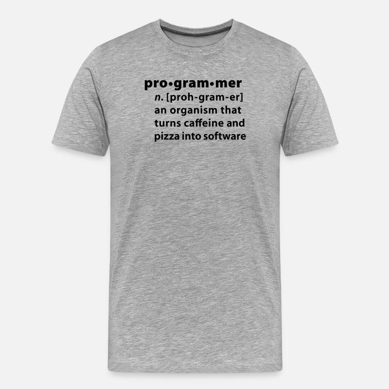 Programmer la définition du dictionnaire - T-shirt bio Premium Homme - gris chiné