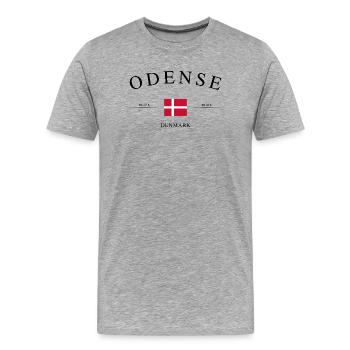 Odense, Danemark – Souvenir et cadeau des Fêtes - T-shirt bio Premium Homme - gris chiné - Devant - Damien (186cm)