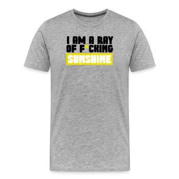 Sonnenschein - Männer Premium Bio T-Shirt - Grau meliert - Vorne - Damien (186cm)