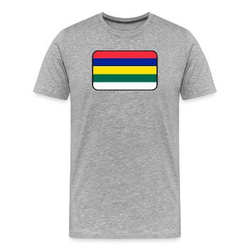 Logo du drapeau de Terschelling – Tenue de l’île - T-shirt bio Premium Homme - gris chiné - Devant - Damien (186cm)