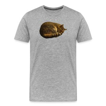 schlafende Katze, tabby motiv, pelzig - Männer Premium Bio T-Shirt - Grau meliert - Vorne - Damien (186cm)