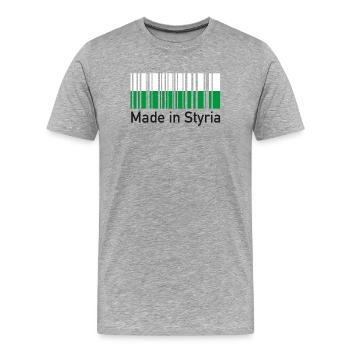 Made in Styria, Steiermark, Steirer - Männer Premium Bio T-Shirt - Grau meliert - Vorne - Damien (186cm)