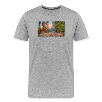 Sunlight in the autumn forest - Men's Premium Organic T-Shirt - heather grey - Front - Damien (186cm)