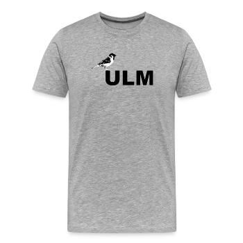 SSV Spatz Ulmer Linsen mit Spätzle und Saiten - Männer Premium Bio T-Shirt - Grau meliert - Vorne - Damien (186cm)